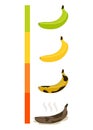 Cartoon flat ripeness of bananas vector illustration Royalty Free Stock Photo