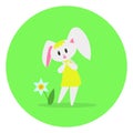 Cartoon flat smilling bunny admires narcissus. Design for Easter.