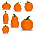 Cartoon flat style colorful pumpkin icons set Royalty Free Stock Photo