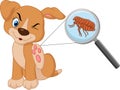 Cartoon flea infested dog
