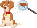 Cartoon flea infested dog