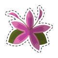 Cartoon flower daylily beautiful flora