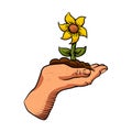 Cartoon flower growing in palm of hand