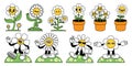 Cartoon flower mascot. Happy daisy in pot, cool spring mascot and retro flowers characters with hands and legs vector Royalty Free Stock Photo