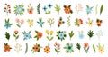 Cartoon flowers. Spring blooming plants, cute floral elements, different types inflorescences with leaves, decorative