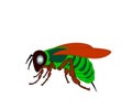 Cartoon fly, insect with bright colors. Housefly volume