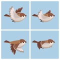 Cartoon flying House Sparrow female animation sprite sheet