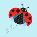 Cartoon flying ladybug