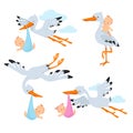 Cartoon flying storks and stork birds carrying baby vector set