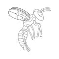 Cartoon flying wasp outline. white background isolated vector illustration