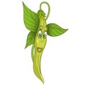 Cartoon French Bean character