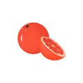 Cartoon fresh grapefruit isolated icon on white