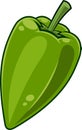 Cartoon Fresh Green Jalapeno Pepper