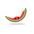 Cartoon fresh green open watermelon half and slice