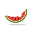 Cartoon fresh green open watermelon half and slice