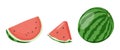 Cartoon fresh green open watermelon half, slices triangles. Red watermelon piece with bite. Sliced cocktail water melon