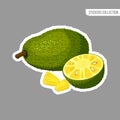 Cartoon fresh jackfruit fruit isolated sticker