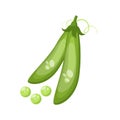 Cartoon fresh organic green peas icon.
