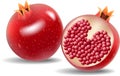 Cartoon fresh pomegranate on white background