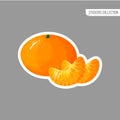 Cartoon fresh tangerine or mandarin sticker