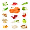 Cartoon fresh vegetables set