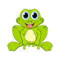 Cartoon frog cute character isolated on white background Royalty Free Stock Photo