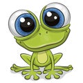 Cartoon Frog Isolated On A White Background