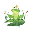 Cartoon Frog prince vector watercolor illustration Royalty Free Stock Photo