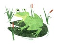 Cartoon Frog sitting on lily pad. Royalty Free Stock Photo