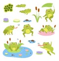 Cartoon frogs. Cute water reptiles, funny amphibians in different poses, tadpoles and toad, lilies and butterflies. Wild fauna,