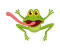 Cartoon frogs Funny cartoon frog. Little amphibia character jumping on white background. Adorable froggy shows tongue