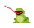 Cartoon frogs Funny cartoon frog. Little amphibia character sitting on white background. Adorable froggy catching fly