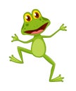 Cartoon frogs Funny cartoon frog. Little amphibia character standing and smiling on white background. Adorable froggy