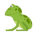 Cartoon frogs Funny cartoon frog. Little amphibia character standing and smiling on white background. Adorable froggy