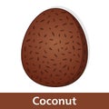 Cartoon Fruit - Big Brown Coconut