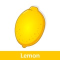 Cartoon Fruit - Big Yellow Lemon Royalty Free Stock Photo