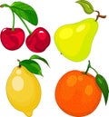 Cartoon fruit set