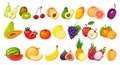 Cartoon fruit slices. Kiwi, dragon fruit, pomegranate, peach, apple, grape, mango, lemon, watermelon, orange. Ripe juicy