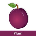 Cartoon Fruit - Violet Plum with Green Leaf Royalty Free Stock Photo