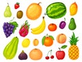 Cartoon fruits. Lemon, strawberry, banana, orange, apple, watermelon, peach, pineapple, mango, grapes. Ripe tropical