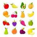 Cartoon fruits vector clipart collection isolated