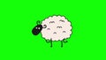 Cartoon funny animation gif character on isolated background. Lamb. Animal lover concept.