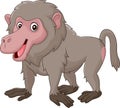 Cartoon funny baboon isolated on white bacjground