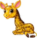 Cartoon funny baby giraffe sitting on white background