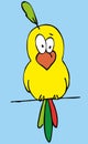 Cartoon funny bird