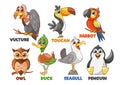 Cartoon Funny Bird Characters. Vulture, Toucan, Parrot and Owl, Duck, Seagull or Penguin Colorful Cute Avian Personages Royalty Free Stock Photo