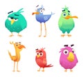 Cartoon funny birds. Faces of cute animals colored baby eagles happy birds. Vector clipart characters isolated
