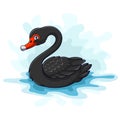 Cartoon funny black swan isolated on white background Royalty Free Stock Photo