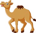 Cartoon funny camel smile and standing