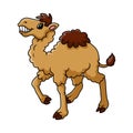 Cartoon funny camel smile and standing Royalty Free Stock Photo